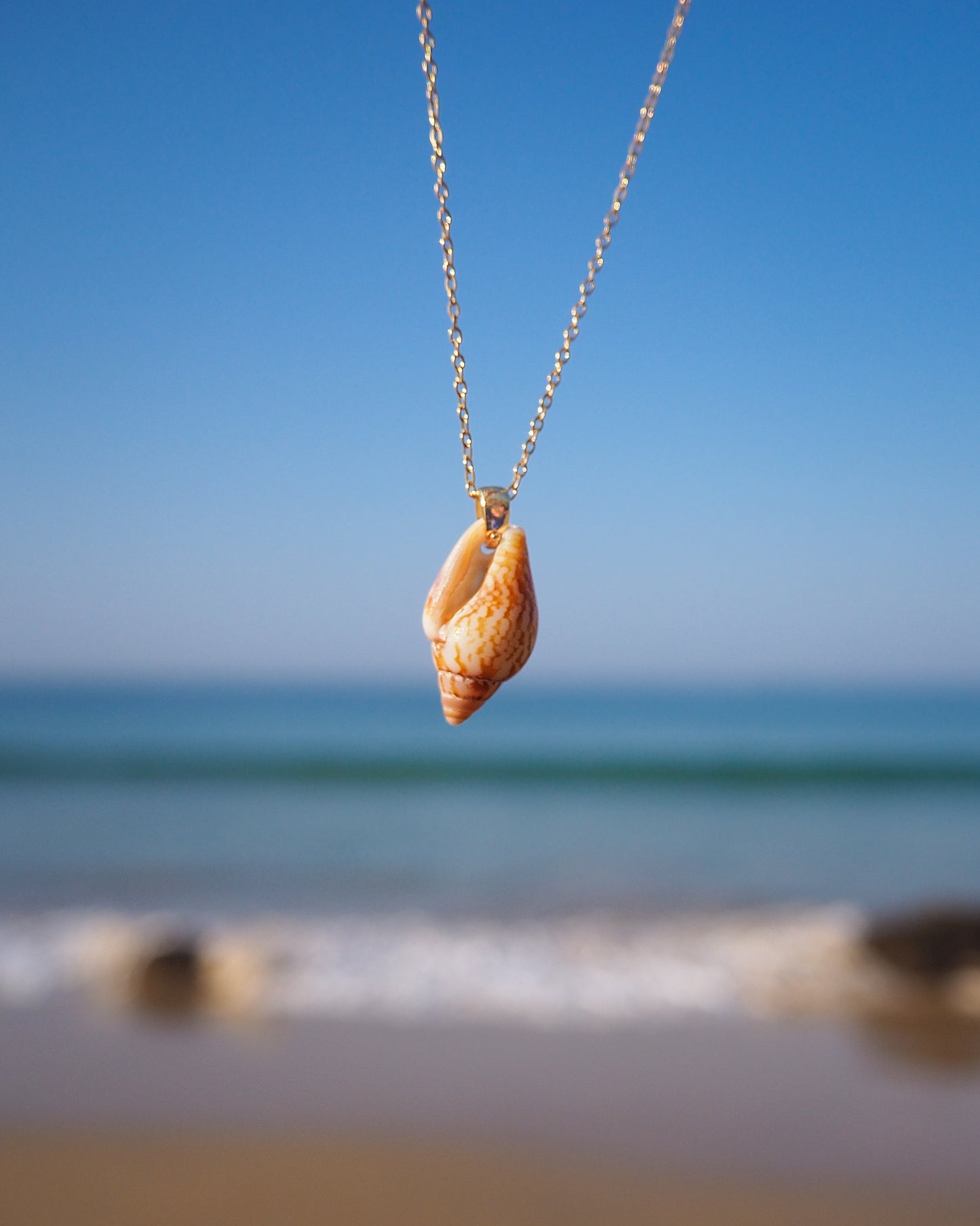 Backside of Rustic Dove Shell Gold Necklace with ocean background, 18k gold stainless steel chain