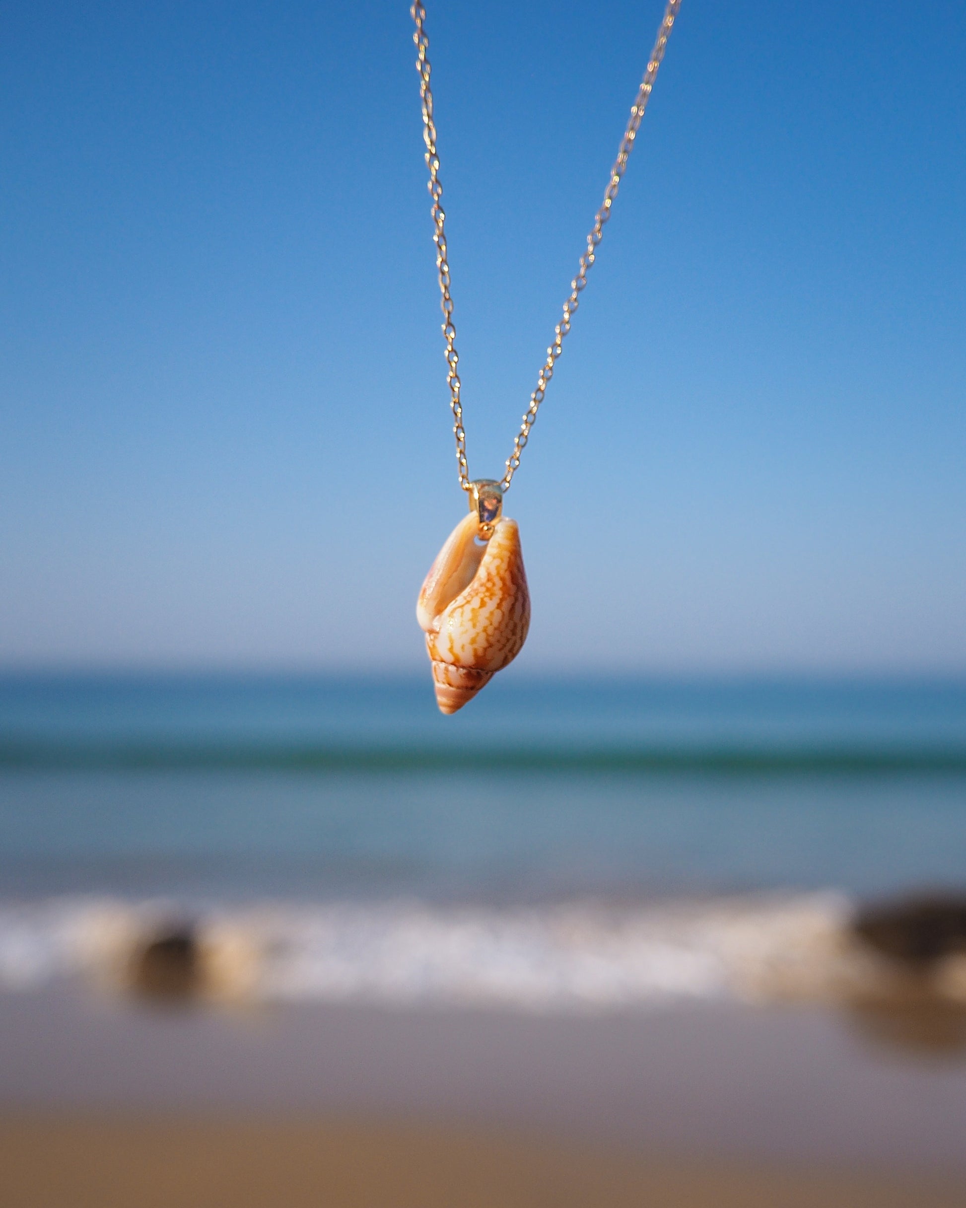 Backside of Rustic Dove Shell Gold Necklace with ocean background, 18k gold stainless steel chain