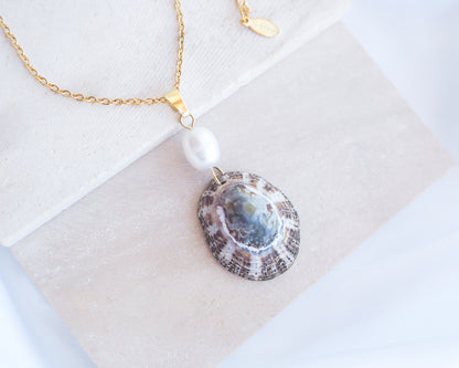 Front view of Rustic Limpet Shell Pearl Necklace on display, Blue White Striped Limpet Shell from Portugal with freshwater pearl and gold chain. 