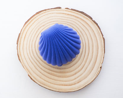 Seashell Blue Velvet Jewelry Box