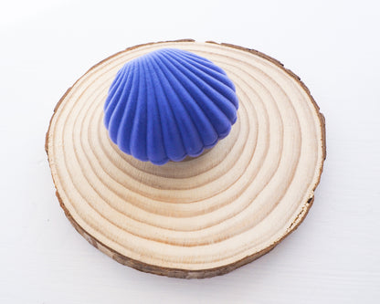 Seashell Blue Velvet Jewelry Box