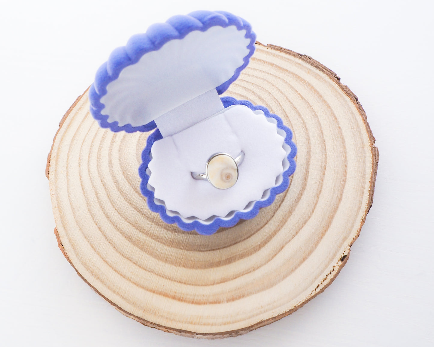 Seashell Blue Velvet Jewelry Box