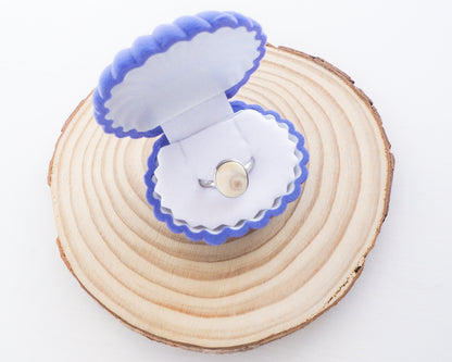 Seashell Blue Velvet Jewelry Box