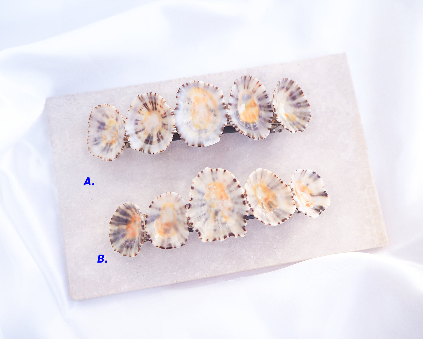 Set of shell-like objects on a white background