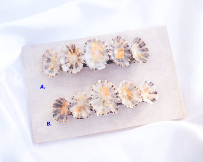 Set of shell-like objects on a white background