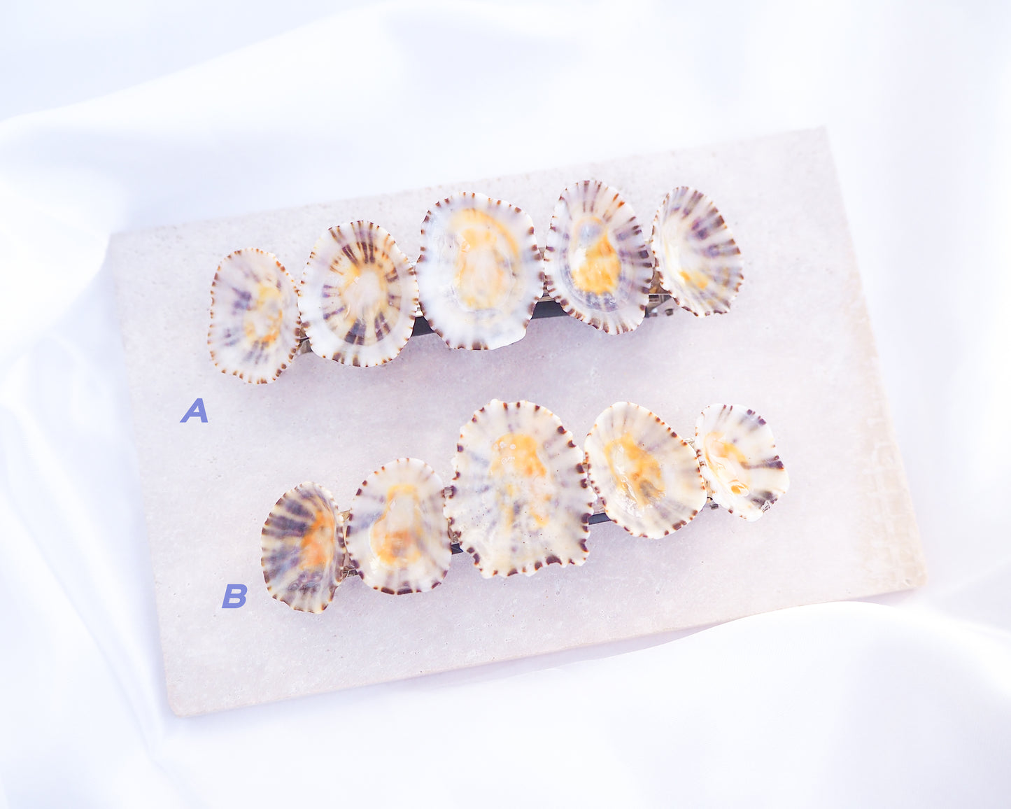 SEASHELL HAIR CLIP ~ Limpet Shells