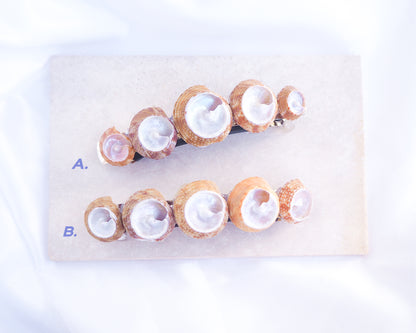 SEASHELL HAIR CLIP ~ Pearly Top Shells