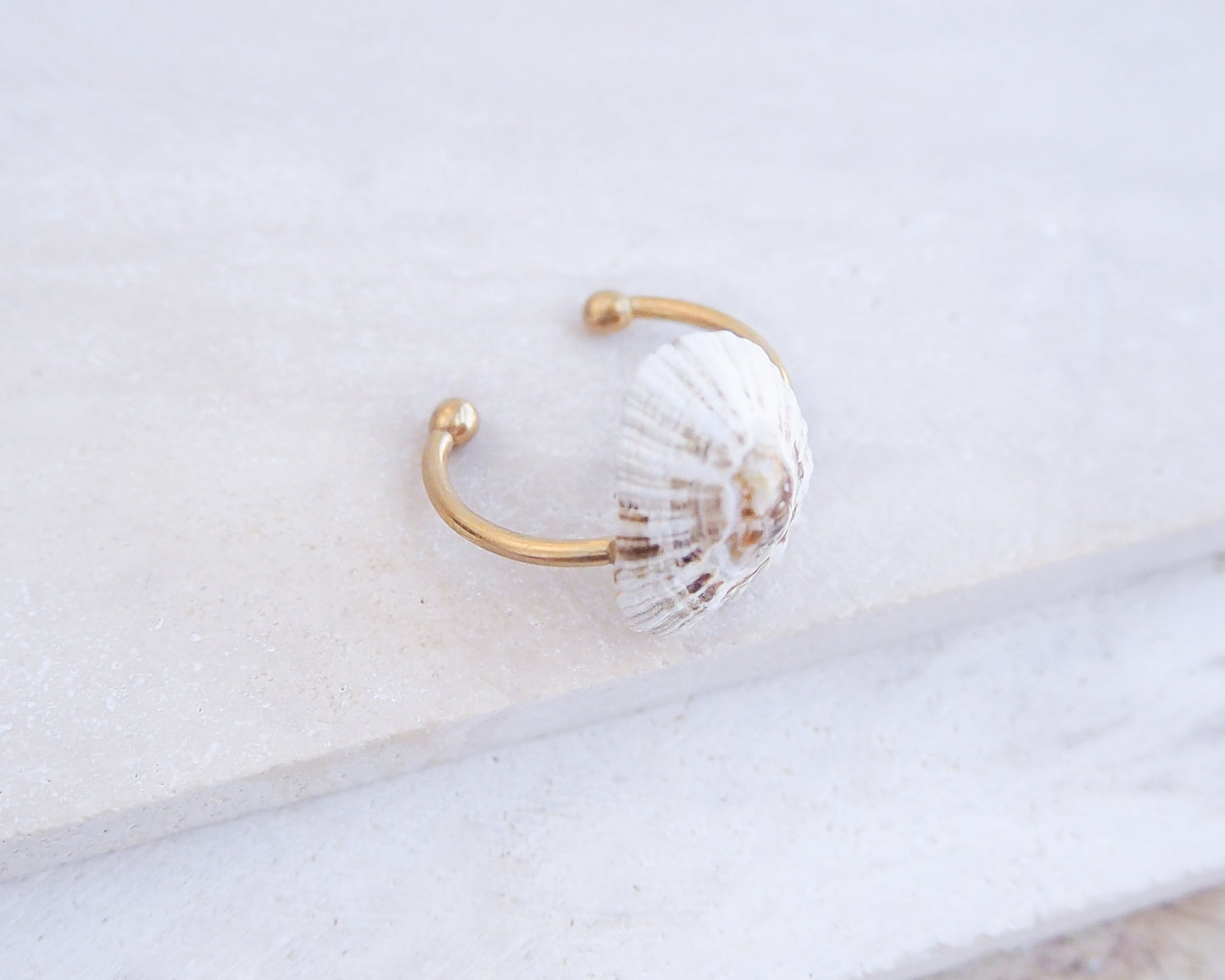 Close up side view of Light Limpet Shell V Gold Ring from Portugal on stone display, Handpicked Rough Limpet Shell from Portugal, Gold Stainless Steel ring with Limpet Shell