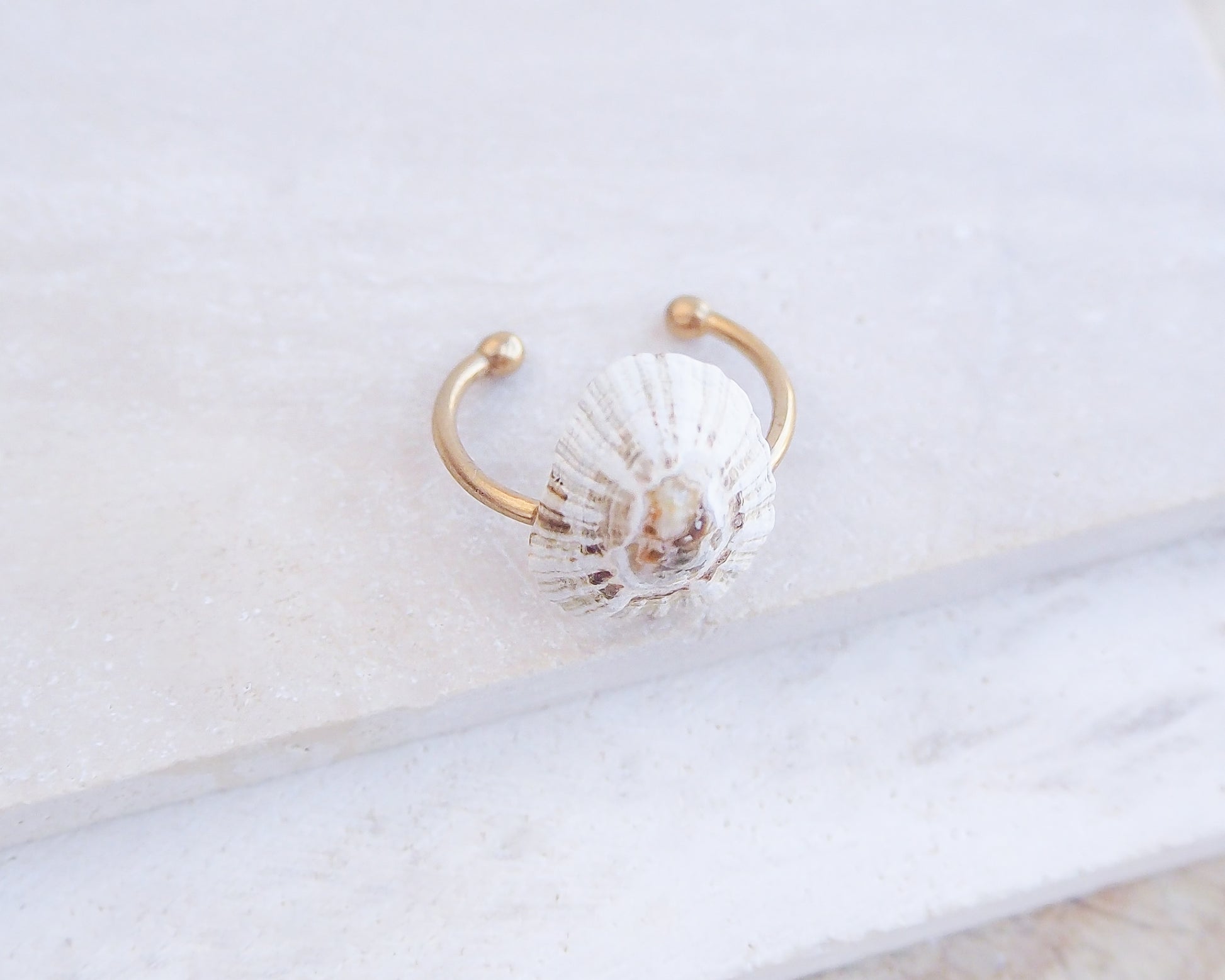 Side view of Light Limpet Shell V Gold Ring from Portugal on stone display, Handpicked Rough Limpet Shell from Portugal, Gold Stainless Steel ring with Limpet Shell