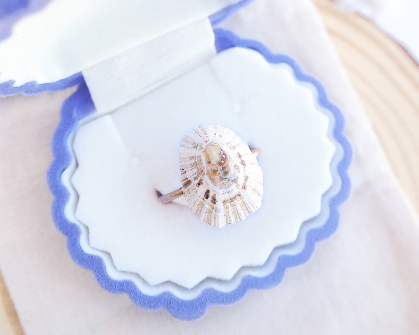 Shell on a decorative blue and white plate with a white napkin. Light Limpet Shell V Gold Ring from Portugal on stone display, Handpicked Rough Limpet Shell from Portugal, Gold Stainless Steel ring with Limpet Shell