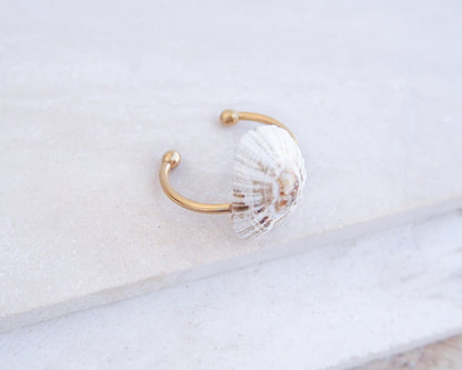 Close up side view of Light Limpet Shell V Gold Ring from Portugal on stone display, Handpicked Rough Limpet Shell from Portugal, Gold Stainless Steel ring with Limpet Shell
