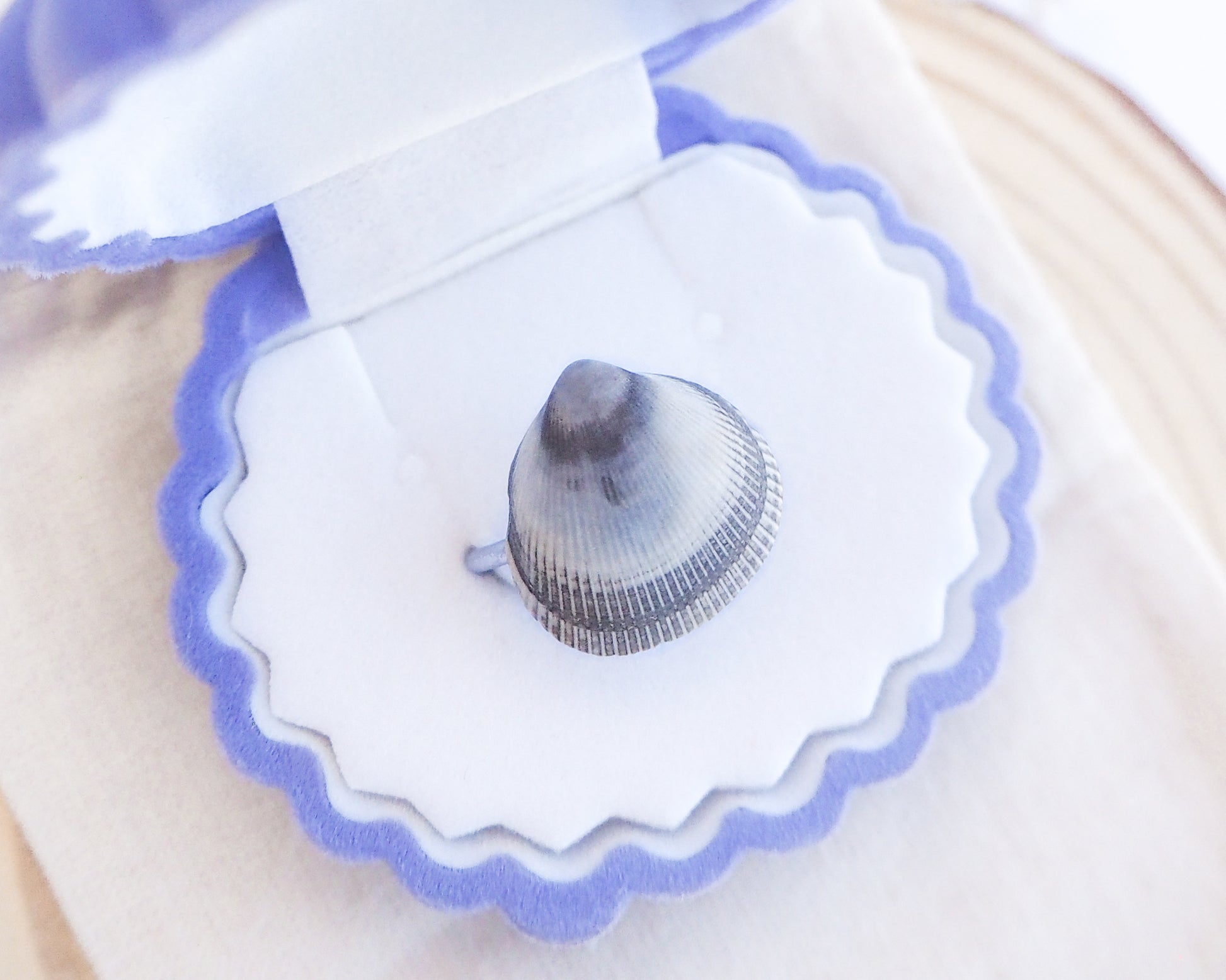 Blue Cockle Shell Silver Ring in jewelry box, Adjustable stainless steel ring with a handpicked Norwegian Egg Cockle Shell from Portugal, Tiny Blue Grey Seashell Ring, Beach Girl Jewelry