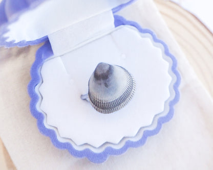 Blue Cockle Shell Silver Ring in jewelry box, Adjustable stainless steel ring with a handpicked Norwegian Egg Cockle Shell from Portugal, Tiny Blue Grey Seashell Ring, Beach Girl Jewelry
