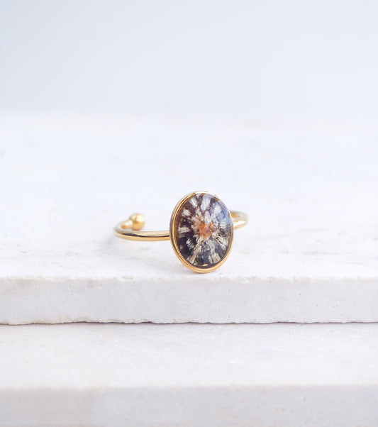 Gold Tiny Zebra Limpet Shell Ring displayed on stone, Limpet Shell Bezel Ring, 18k gold stainless steel, handpicked limpet from the beach of Portugal, Black-Footed Limpet Shell