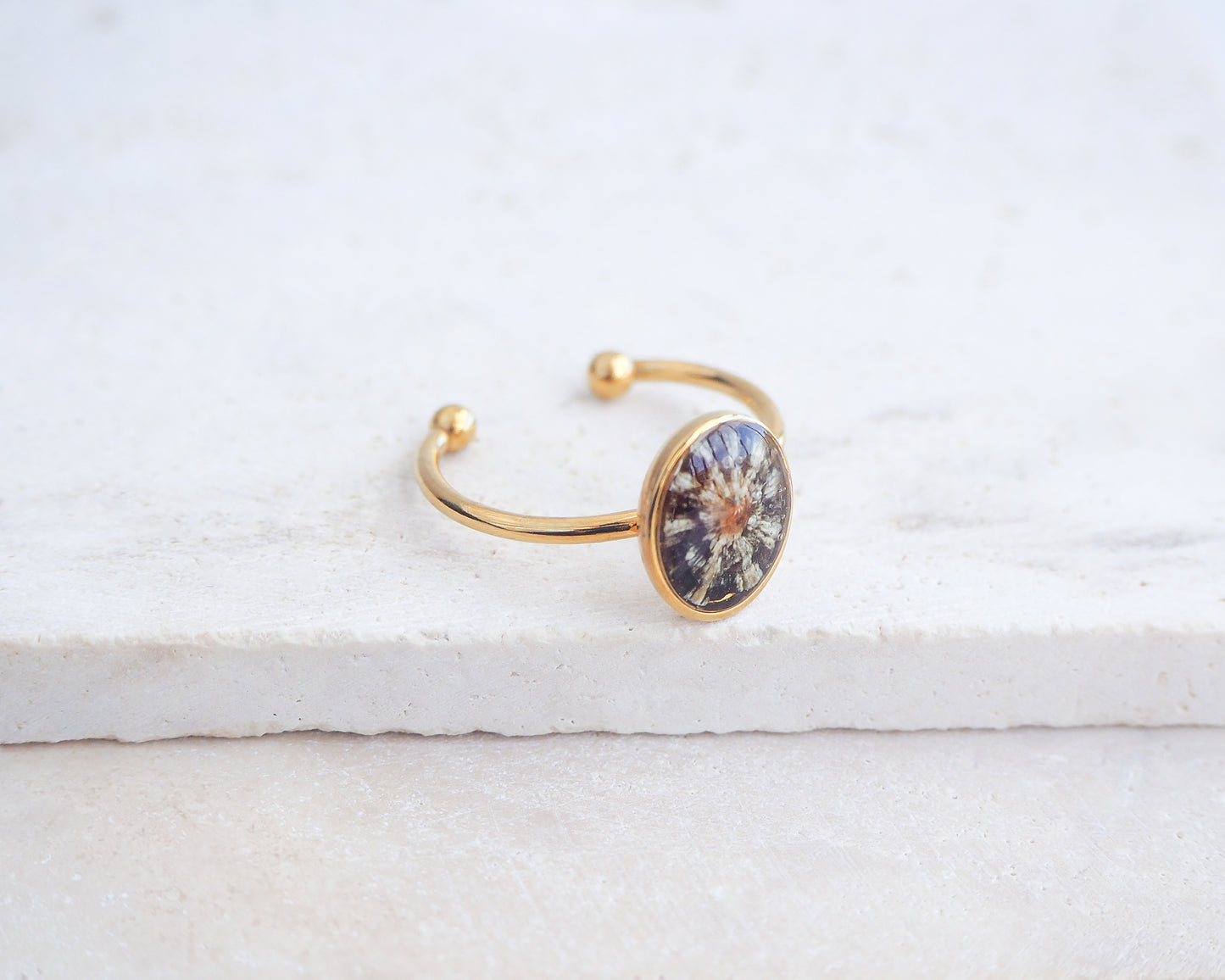 Side view of Tiny Zebra Limpet Shell Gold Ring displayed on stone, Limpet Shell Bezel Ring, 18k gold stainless steel, handpicked limpet from the beach of Portugal, Black-Footed Limpet Shell