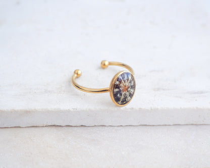 Side view of Tiny Zebra Limpet Shell Gold Ring displayed on stone, Limpet Shell Bezel Ring, 18k gold stainless steel, handpicked limpet from the beach of Portugal, Black-Footed Limpet Shell