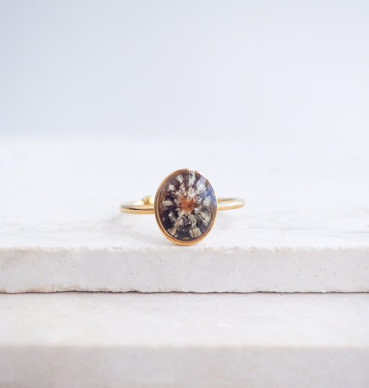 Tiny Zebra Limpet Shell Gold Ring displayed on stone, Limpet Shell Bezel Ring, 18k gold stainless steel, handpicked limpet from the beach of Portugal, Black-Footed Limpet Shell