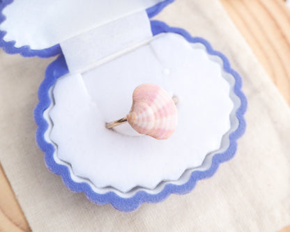SEASHELL RING ~ Pink White Venus Shell Gold