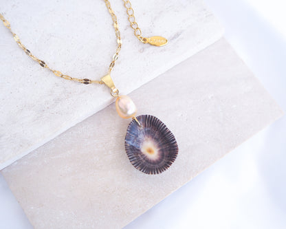 Necklace with a shell pendant on a white background. Striped Limpet Shell Pearl Necklace on display, Dark Limpet Shell from Portugal with freshwater pearl and gold chain. 