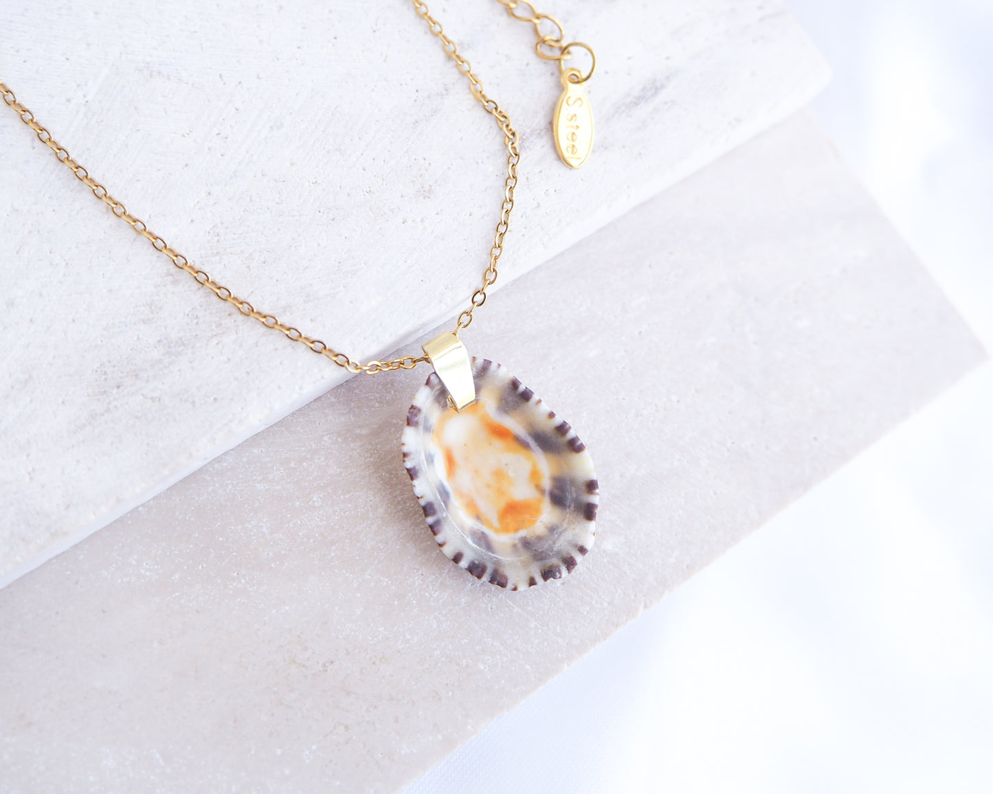 Necklace with a shell pendant on a white background. Gold Limpet Shell Upside Down Necklace with orange center on display. Limpet Shell from Portugal, Lapa Concha 