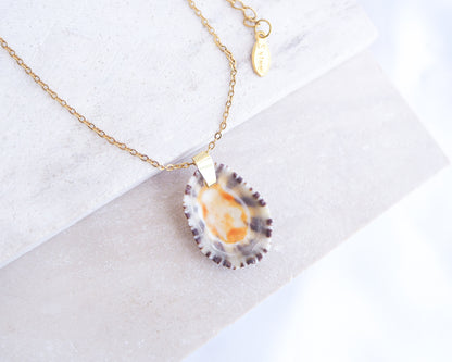 Necklace with a shell pendant on a white background. Gold Limpet Shell Upside Down Necklace with orange center on display. Limpet Shell from Portugal, Lapa Concha 