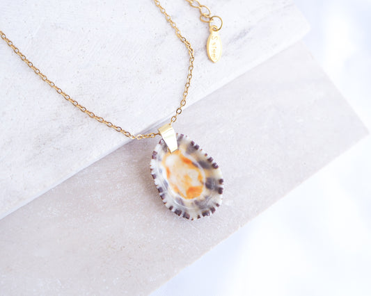 Necklace with a shell pendant on a white background. Gold Limpet Shell Upside Down Necklace with orange center on display. Limpet Shell from Portugal, Lapa Concha 