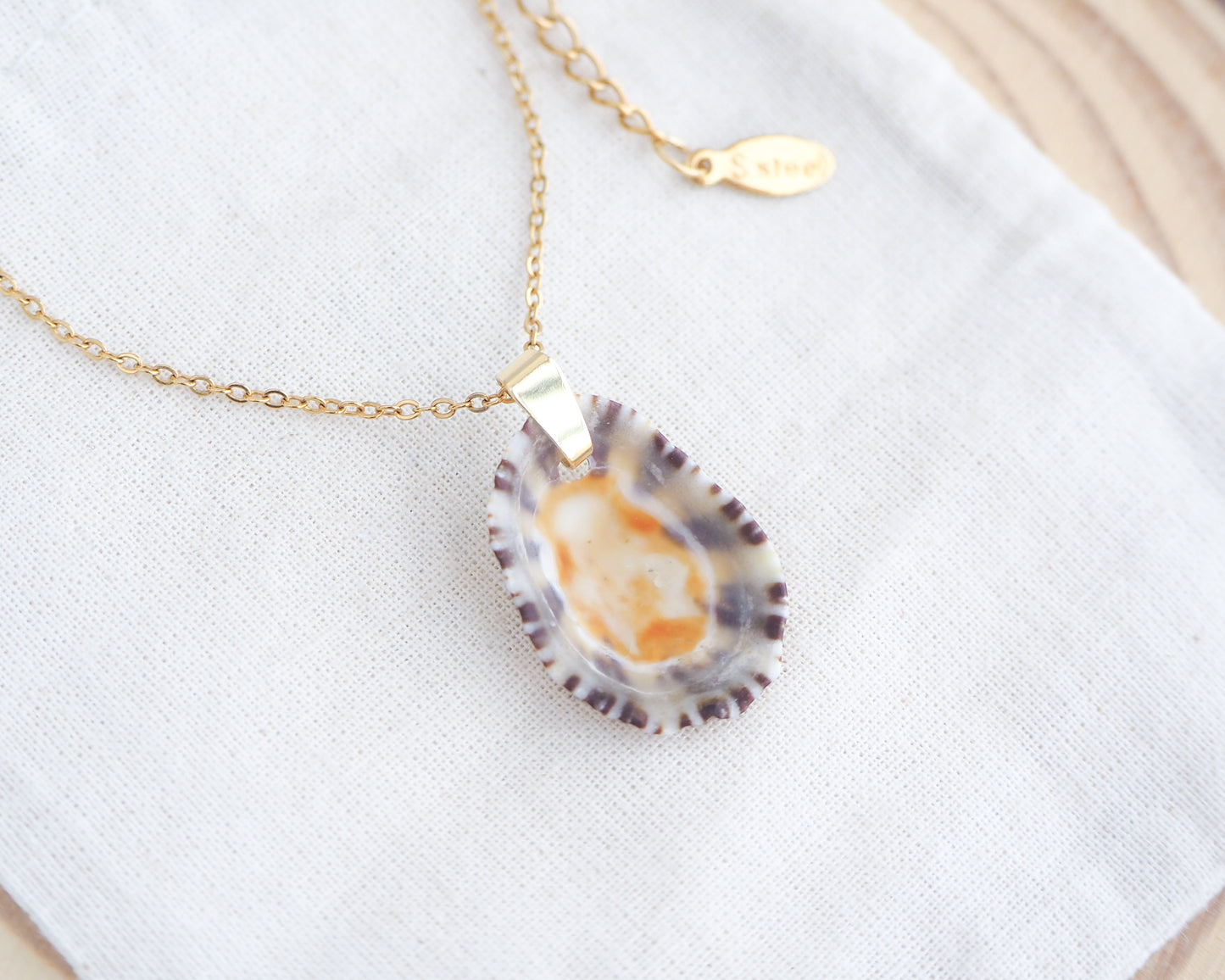 Necklace with a shell pendant on a white background. Front view of Gold Limpet Shell Upside Down Necklace with orange center on display. Limpet Shell from Portugal, Lapa Concha 