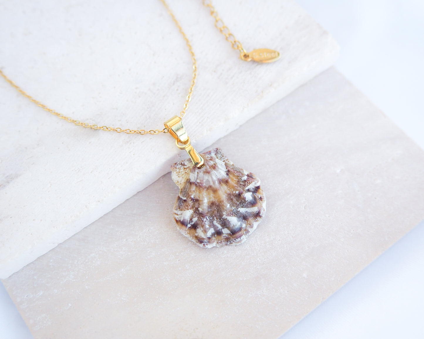 Gold Brown White Scallop Shell Necklace on stone displayed, Brown White Leopard Scallop Shell from Portugal, 18k gold stainless steel chain, Flexopecten flexuosus shell necklace