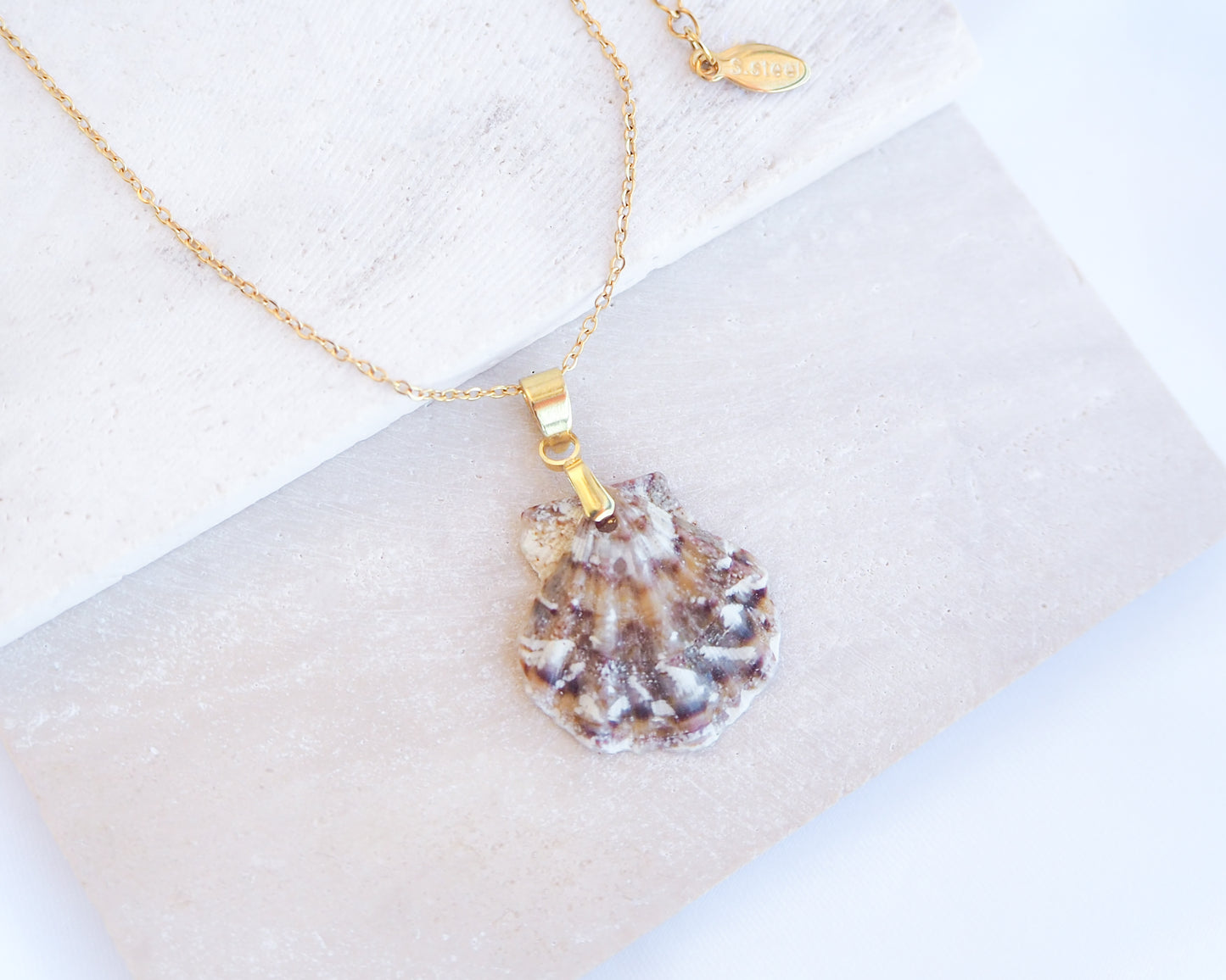 Brown White Scallop Shell Necklace on stone displayed, Brown White Leopard Scallop Shell from Portugal, 18k gold stainless steel chain, Flexopecten flexuosus shell necklace