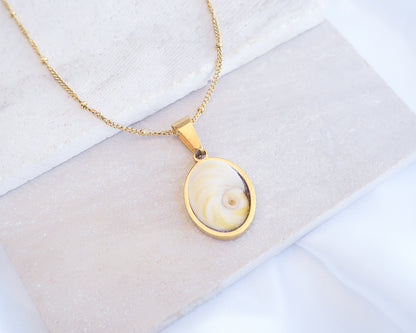 Light Shiva Eye Necklace II on stone displayed. Light Eye of Saint handpicked from Portugal, 18k gold stainless steel shiva eye pendant necklace, Saint Lucy Eye, operculum pendant