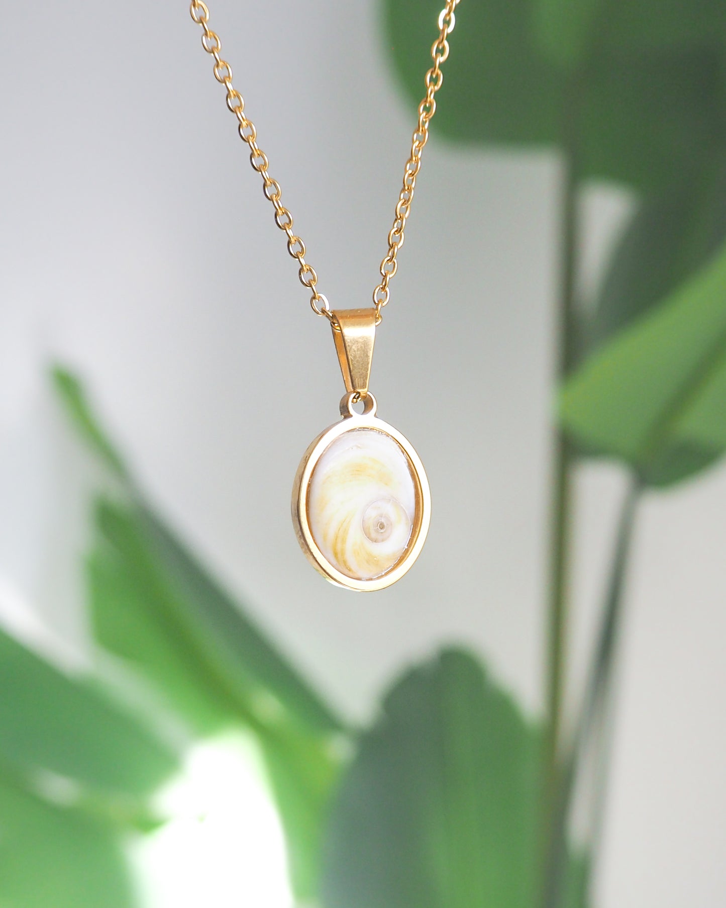 Soft Yellow Shiva Eye Necklace II with plant background Light Eye of Saint handpicked from Portugal, 18k gold stainless steel shiva eye pendant necklace, Saint Lucy Eye, operculum pendant