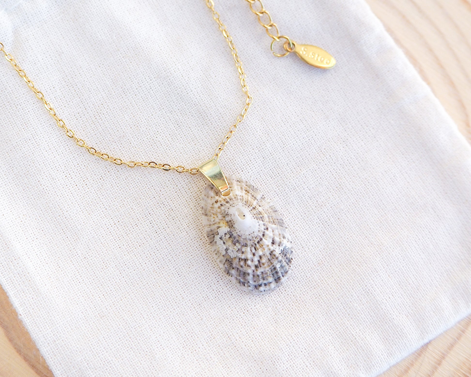 Light Keyhole Limpet Shell Necklace displayed on cotton, made with 18k gold stainless steel chain and handpicked from Portugal. 