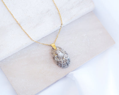 Light Keyhole Limpet Shell Necklace displayed on stone, made with 18k gold stainless steel chain and handpicked from Portugal. 