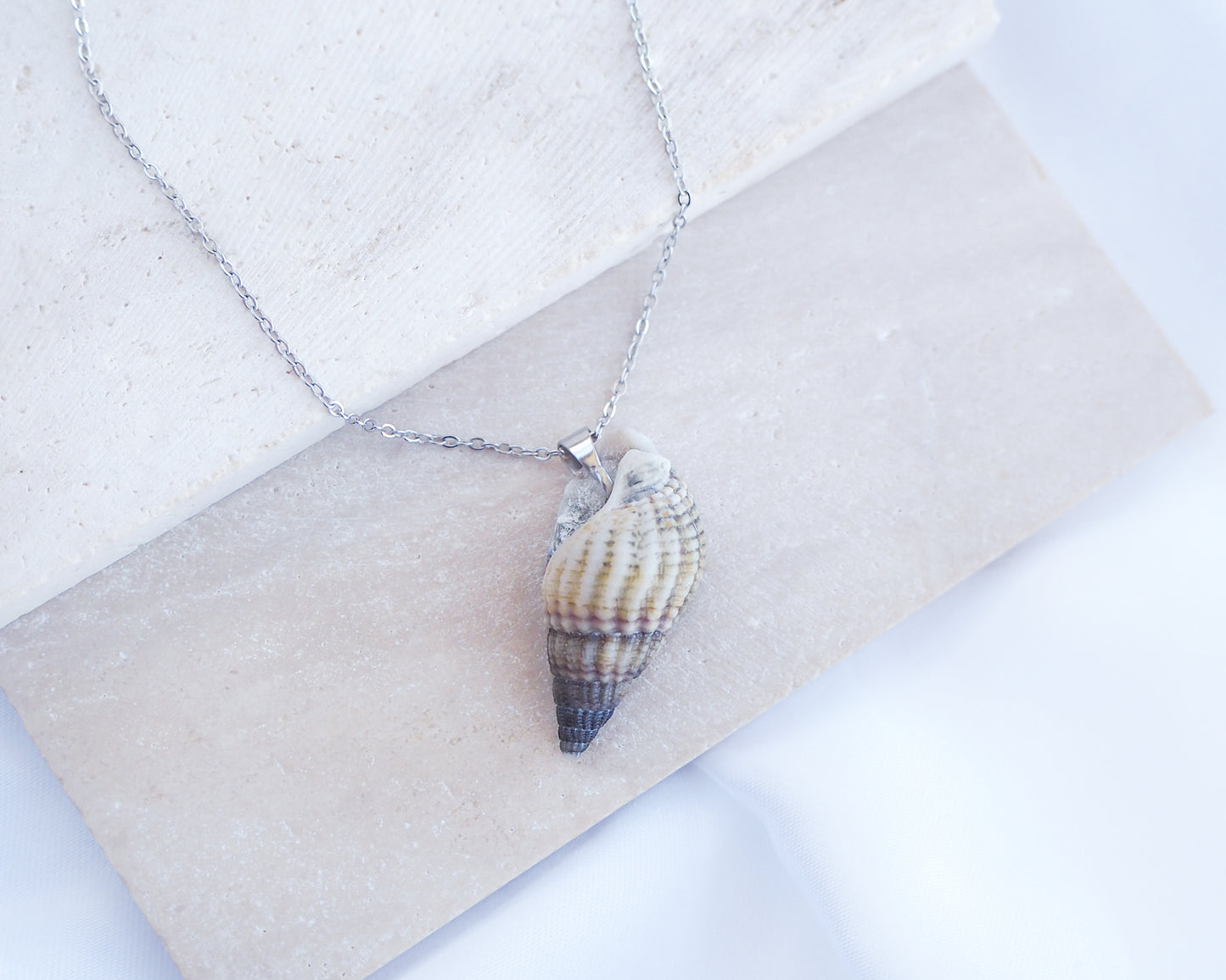 Back side of Dark Netted Dog Whelk Shell Silver Necklace on stone displayed, Silver stainless steel chain, Netted Dogwhelk Shell handpicked from Portugal