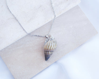 Back side of Dark Netted Dog Whelk Shell Silver Necklace on stone displayed, Silver stainless steel chain, Netted Dogwhelk Shell handpicked from Portugal
