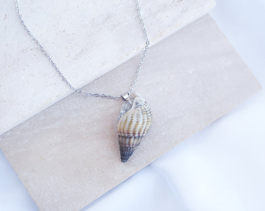 Back side of Dark Netted Dog Whelk Shell Silver Necklace on stone displayed, Silver stainless steel chain, Netted Dogwhelk Shell handpicked from Portugal