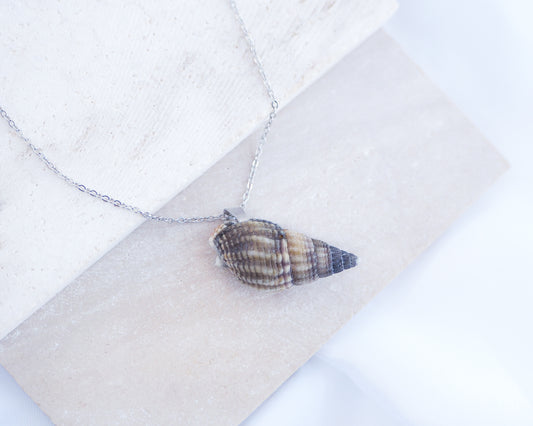 Dark Netted Dog Whelk Shell Silver Necklace on stone displayed, Silver stainless steel chain, Netted Dogwhelk Shell handpicked from Portugal