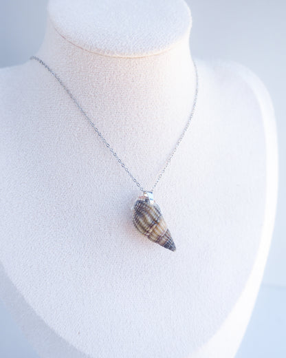SEASHELL NECKLACE ~ Silver Dark Netted Dog Whelk Shell II