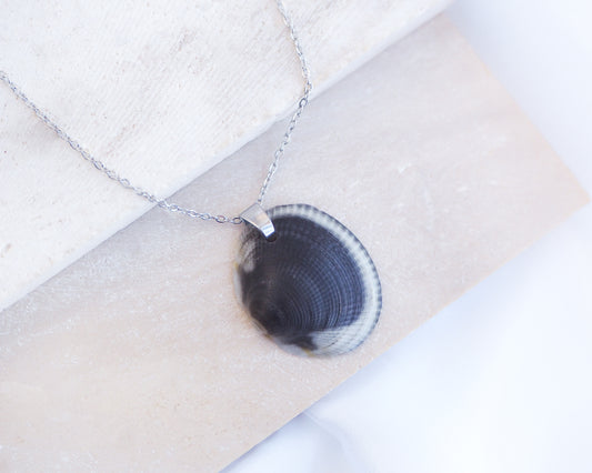 Black White Shell Necklace on display, Real Dark Bittersweet Clam Shell from Algarve, Portugal, Silver Stainless Steel chain