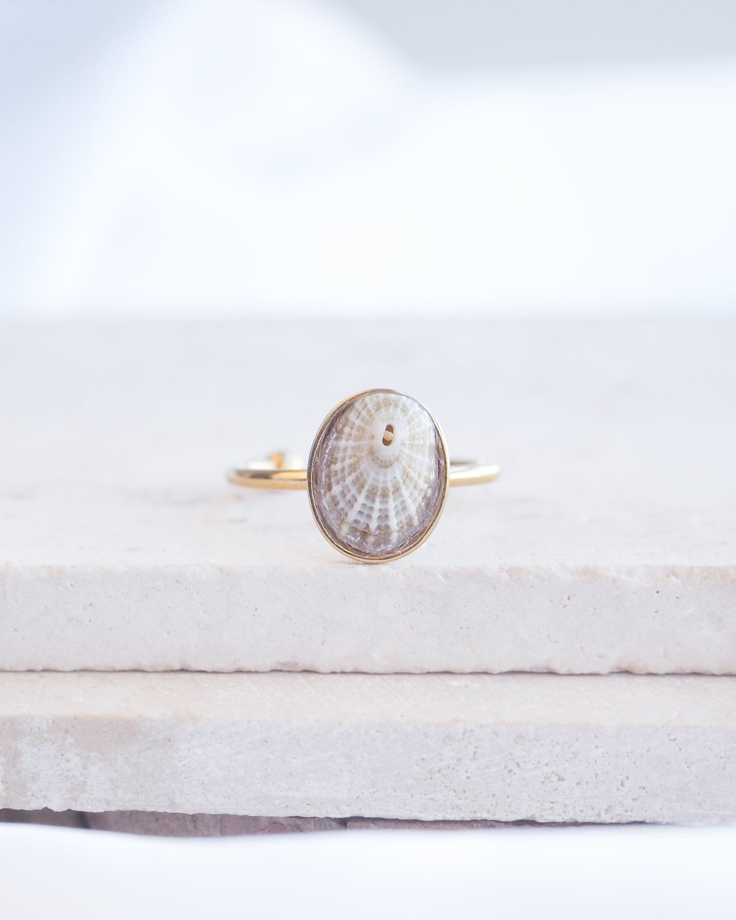 Gold Light Common Keyhole Limpet Shell Ring on display, Light Limpet Shell from Portugal set in a 18k gold stainless steel bezel adjustable ring 