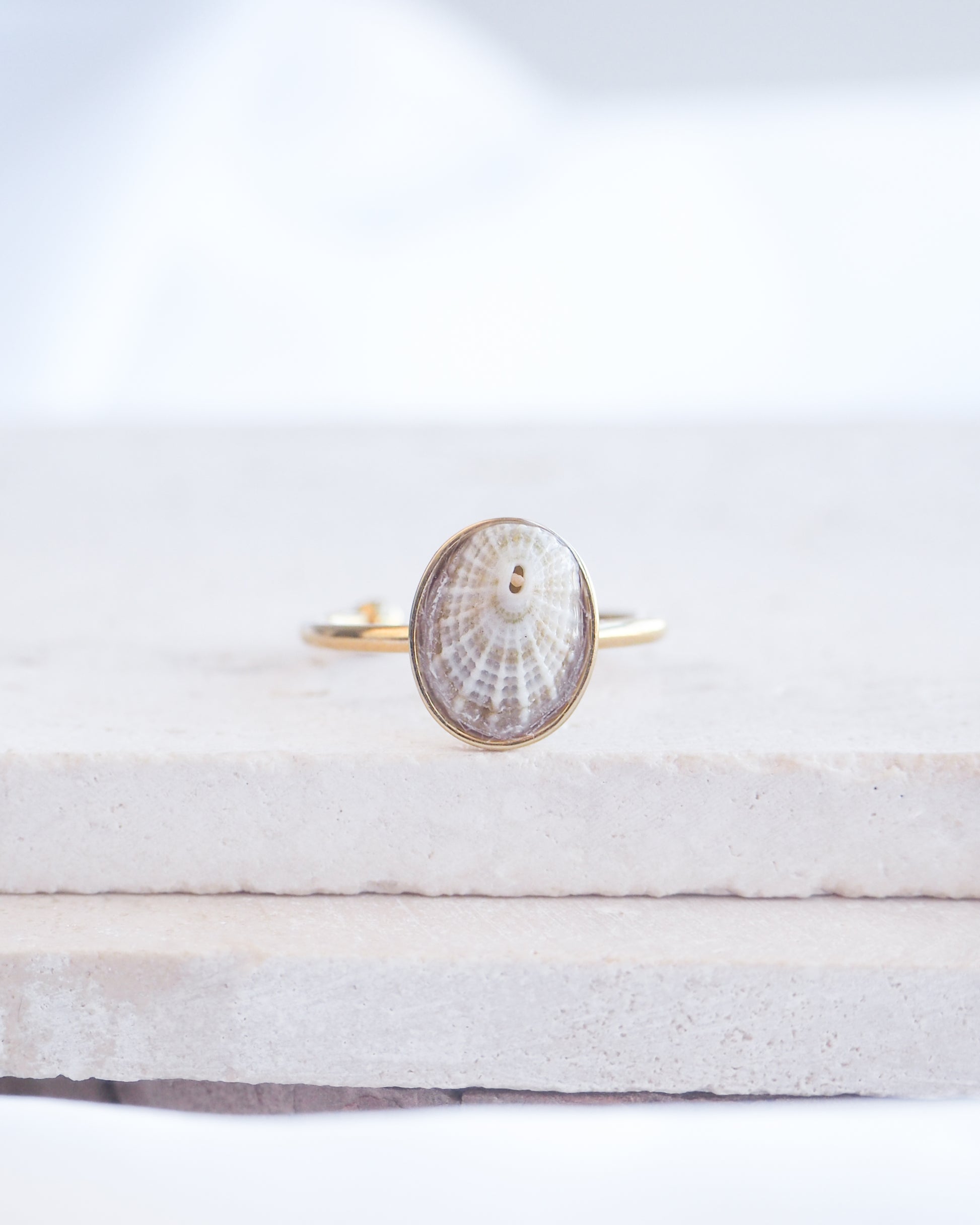 Gold Light Common Keyhole Limpet Shell Ring on display, Light Limpet Shell from Portugal set in a 18k gold stainless steel bezel adjustable ring 