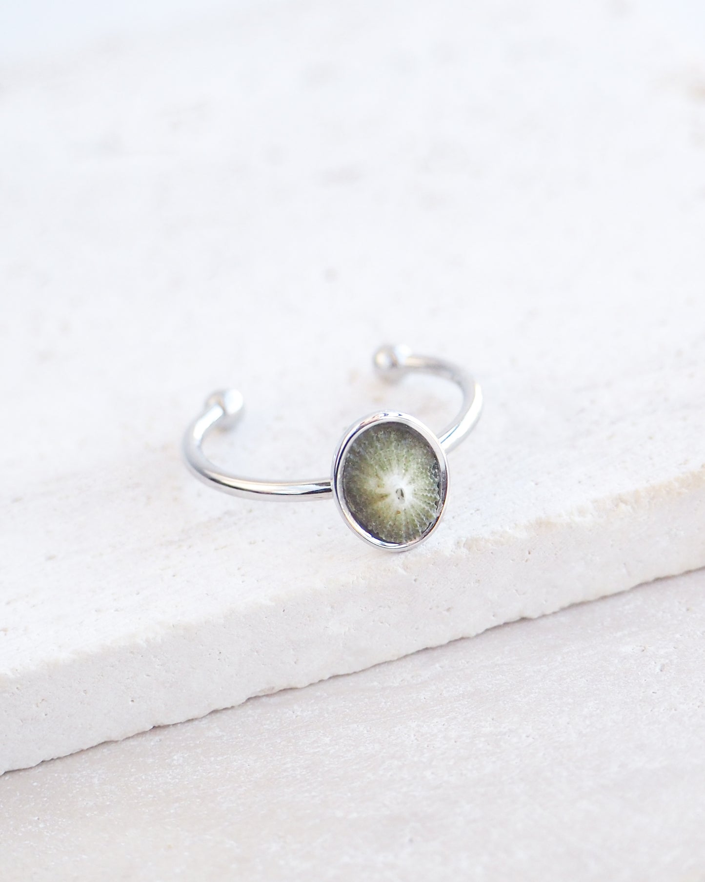 Side view of Silver Green Common Keyhole Limpet Shell Ring on display, Green Limpet Shell from Portugal set in a silver stainless steel bezel adjustable ring 