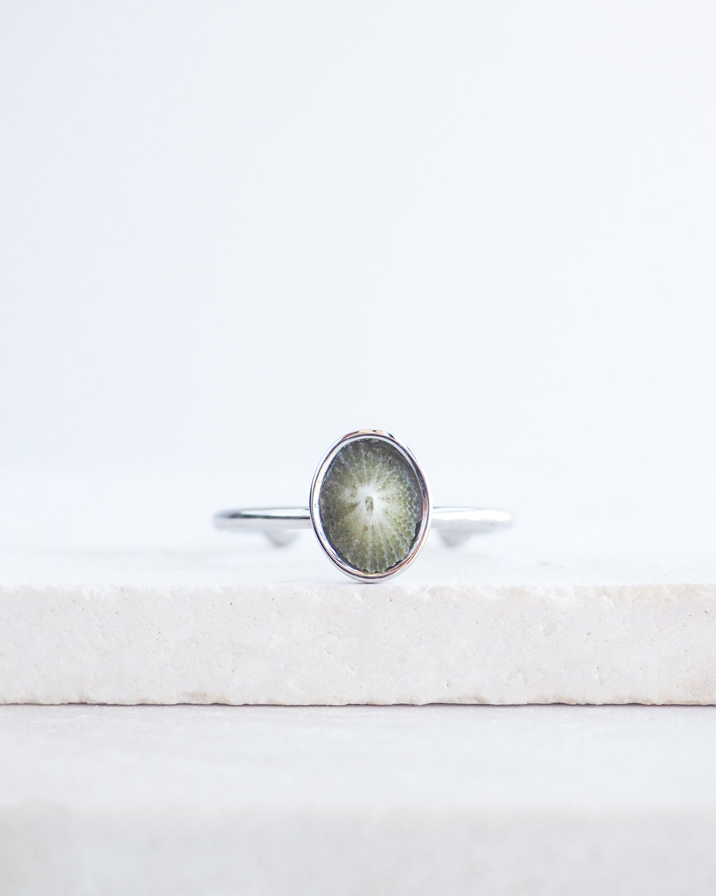 Silver Green Common Keyhole Limpet Shell Ring on display, Green Limpet Shell from Portugal set in a silver stainless steel bezel adjustable ring 
