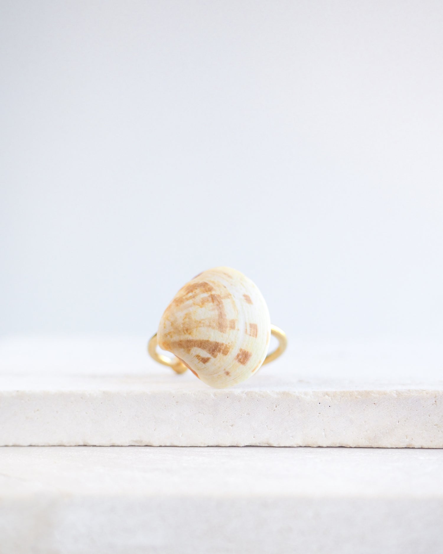 Smooth Venus Shell Gold Ring on stone displayed, 18k gold stainless steel adjustable ring, handpicked Smooth Clam shell from Portugal 