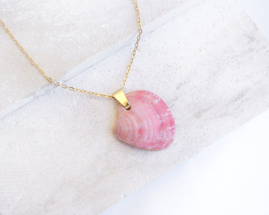 Necklace with a pink shell pendant on a textured white surface. Pink Venus Shell Necklace on stone displayed. Pink Shell from Portugal. Necklace made with 18k gold stainless steel