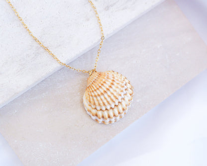 A gold cockle shell necklace made with a Mediterranean Cockle Shell from Portugal on a 18k gold stainless steel chain against a light background. The shell is yellow with white stripes.