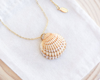 A gold cockle shell necklace made with a Mediterranean Cockle Shell from Portugal on a 18k gold stainless steel chain against a cotton background. The shell is yellow with white stripes.