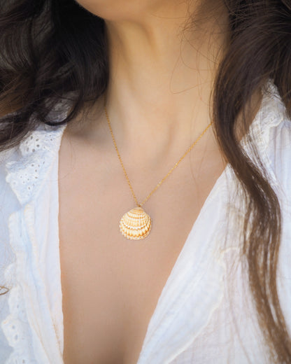 Model wearing a gold cockle shell necklace on neck with white shirt. The necklace is made with a Mediterranean Cockle Shell from Portugal on a 18k gold stainless steel chain The shell is yellow with white stripes.