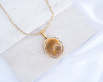 Big Brown Orange Eye of Saint Lucia Gold Necklace on stone displayed, 18k gold stainless steel brown shiva eye pendant necklace, Saint Lucy Eye, operculum pendant