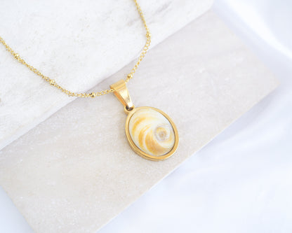 SEASHELL NECKLACE ~ Yellow Orange Eye of Saint Lucia Gold V